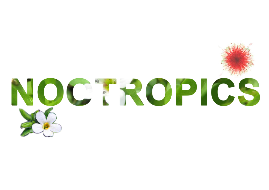 best bacopa monnieri