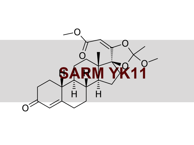 SARM YK11