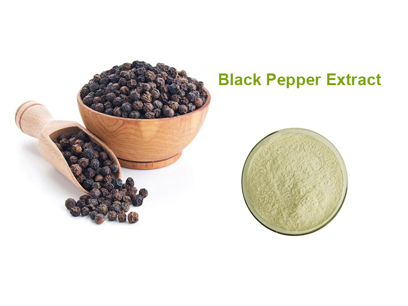 Black Pepper Extract 95% Piperine
