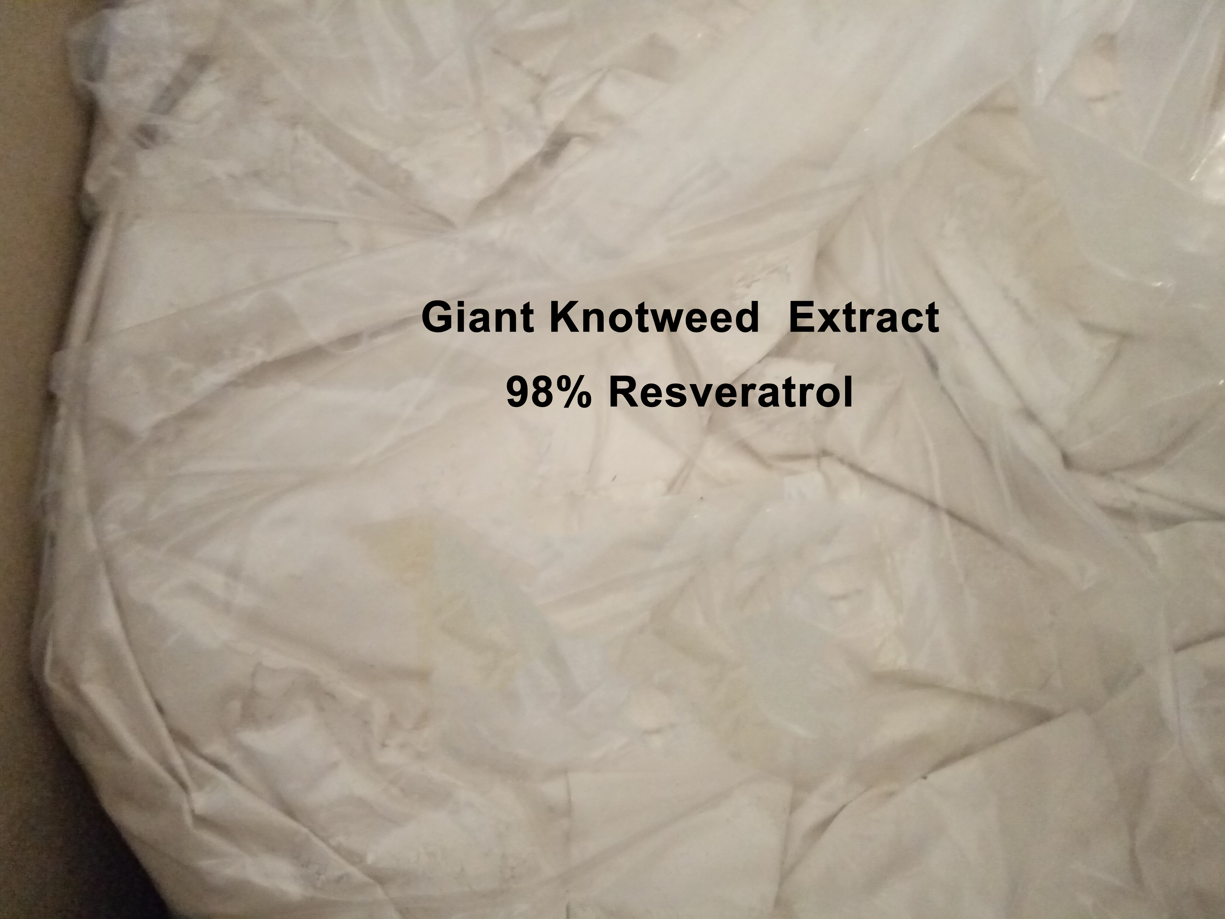 Giant Knotweed Extract 98% Resveratrol