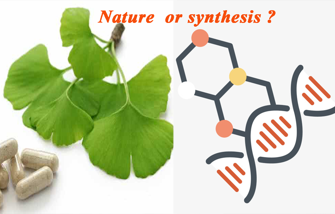 Differences of Nature and synthesis nootropics!