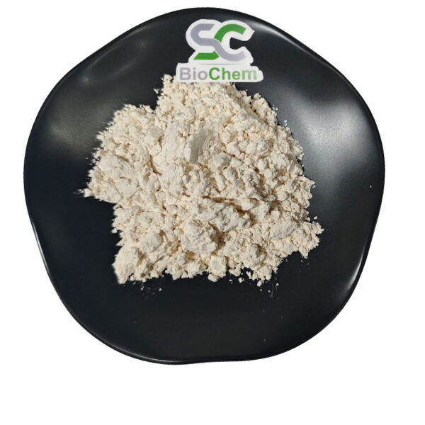 Phenylpiracetam hydrazide