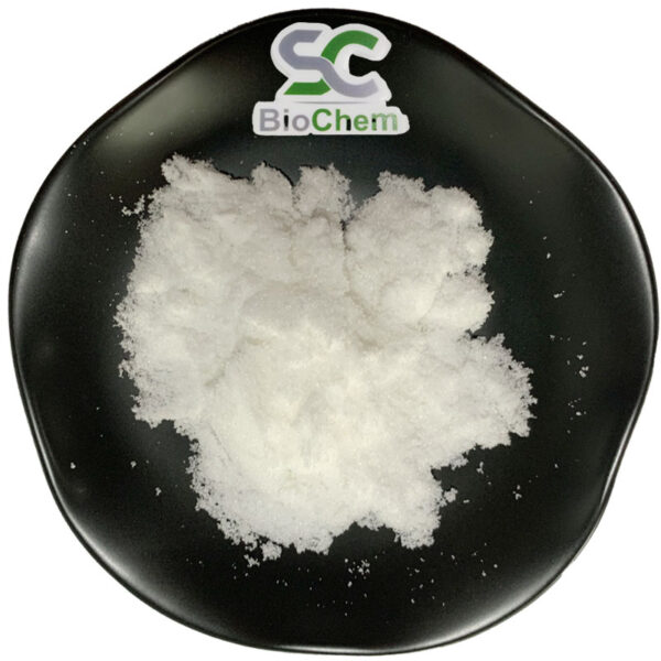Pramiracetam