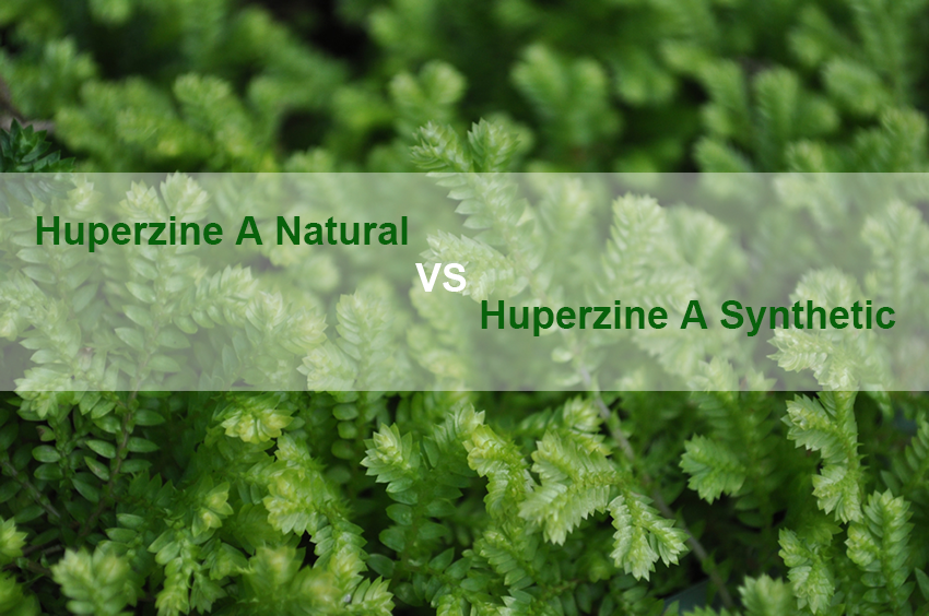 Huperzine A 1% Natural VS Synthetic