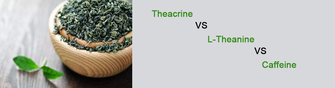 Theacrine vs L-theanine vs Caffeine