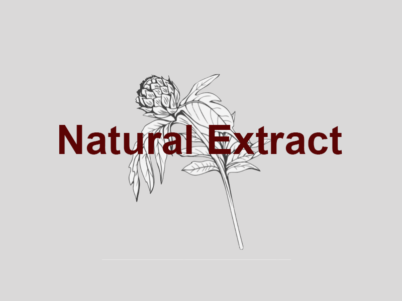 Natural Nootropics