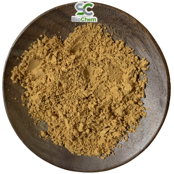 Artichoke Extract