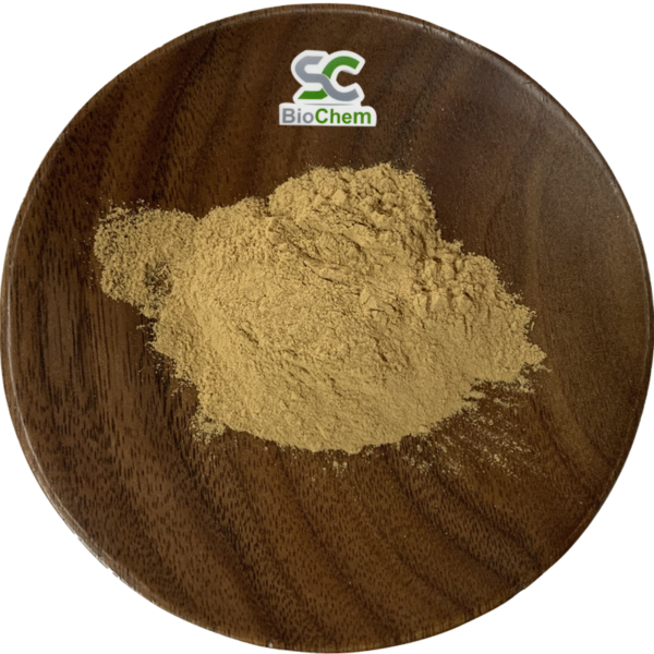 Astragalus Extract