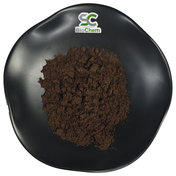 Black  Ginger Extract