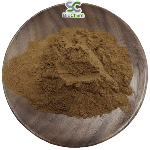 Reishi Mushroom Extract