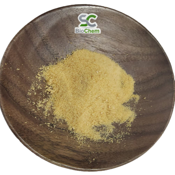 Soybean Extract