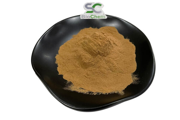 Bacopa Monnieri Extract