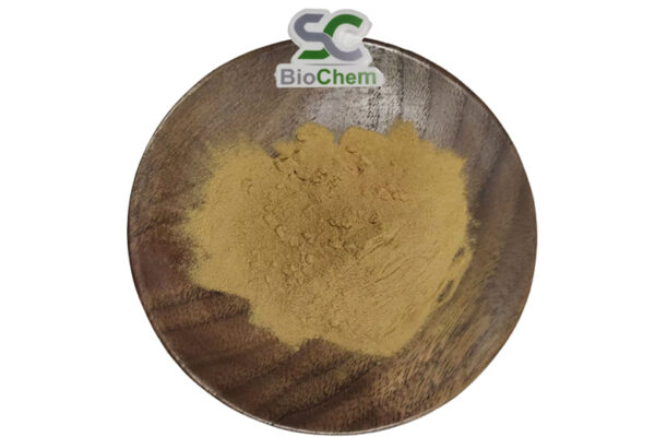 Cactus Extract