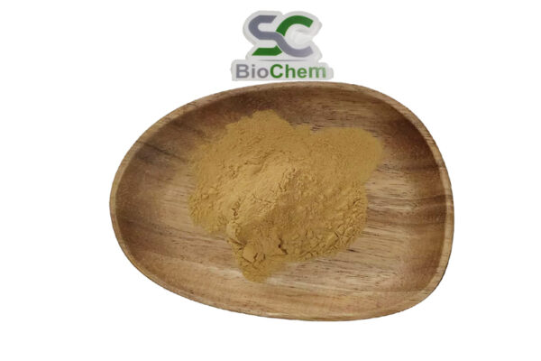Maitake Mushroom Extract