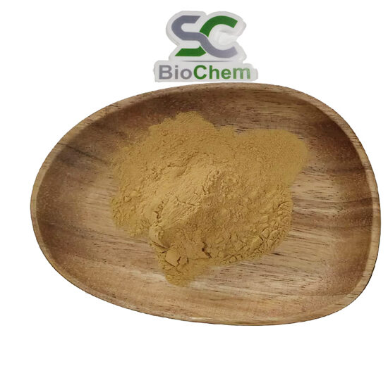 香菇提取物-550x520 Herbal Extracts